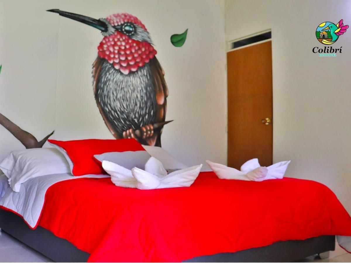 Ecohotel Colibri Salento 루나 파크 외부 사진
