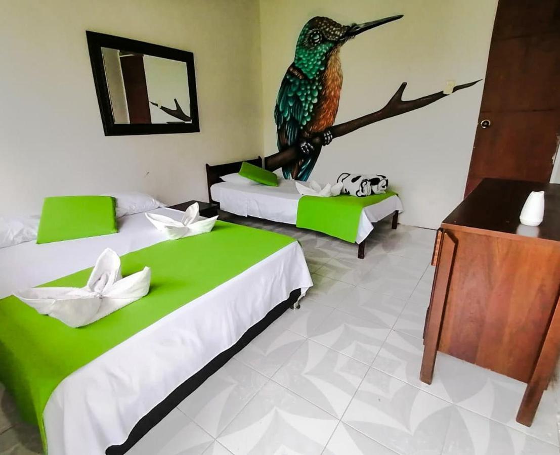Ecohotel Colibri Salento 루나 파크 외부 사진