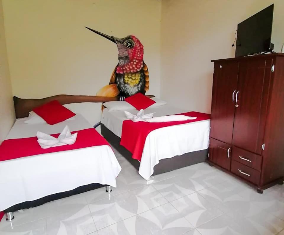 Ecohotel Colibri Salento 루나 파크 외부 사진