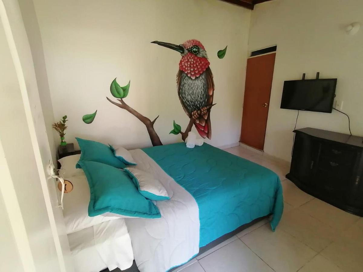 Ecohotel Colibri Salento 루나 파크 외부 사진