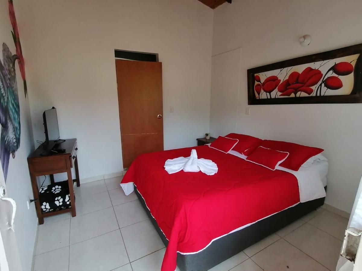 Ecohotel Colibri Salento 루나 파크 외부 사진