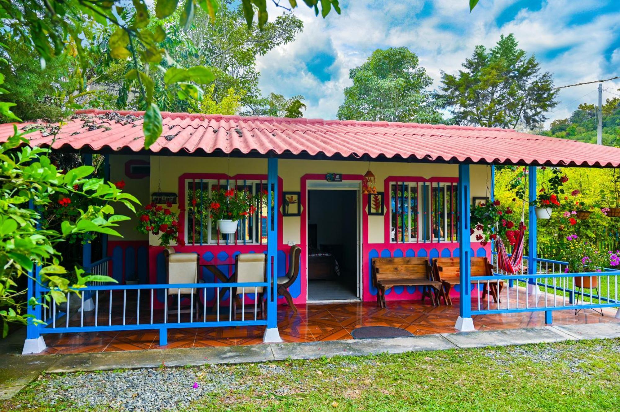 Ecohotel Colibri Salento 루나 파크 외부 사진