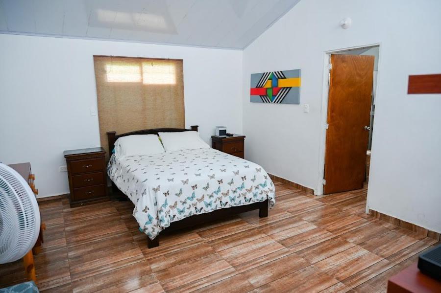 Ecohotel Colibri Salento 루나 파크 외부 사진