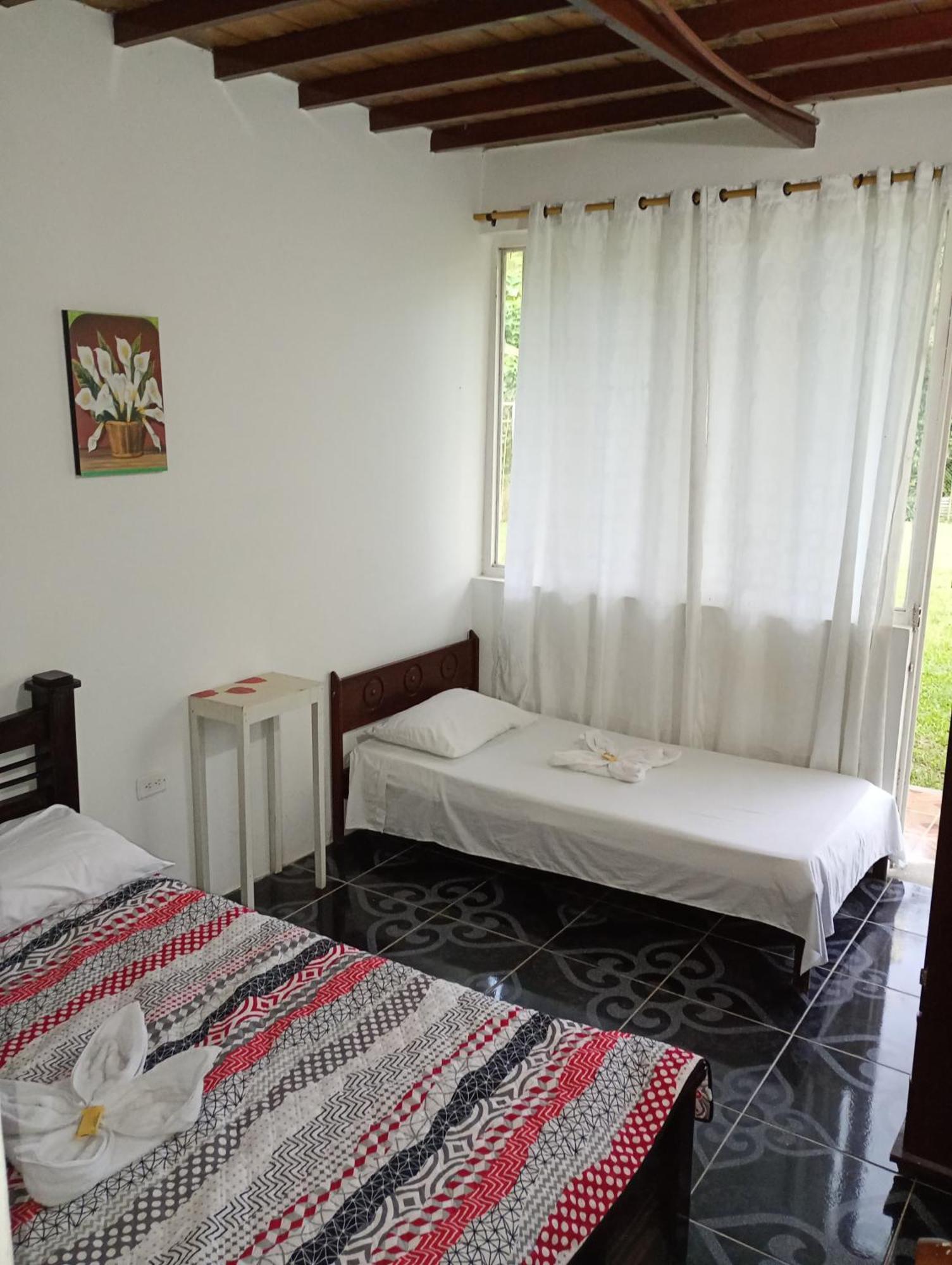 Ecohotel Colibri Salento 루나 파크 외부 사진