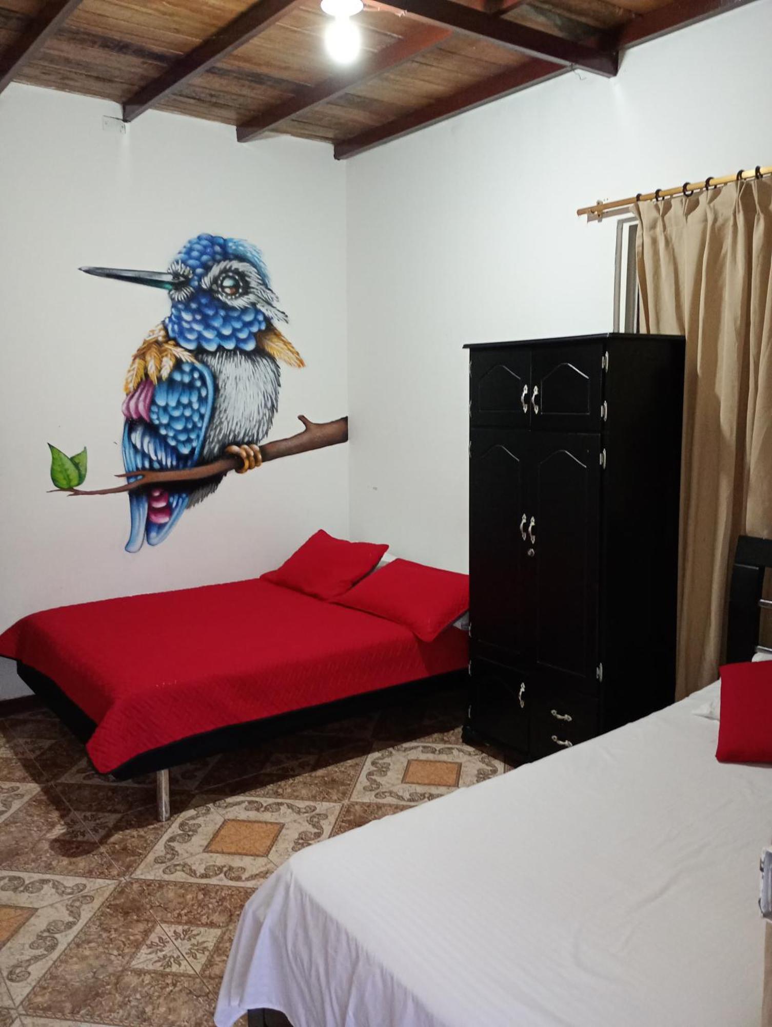 Ecohotel Colibri Salento 루나 파크 외부 사진