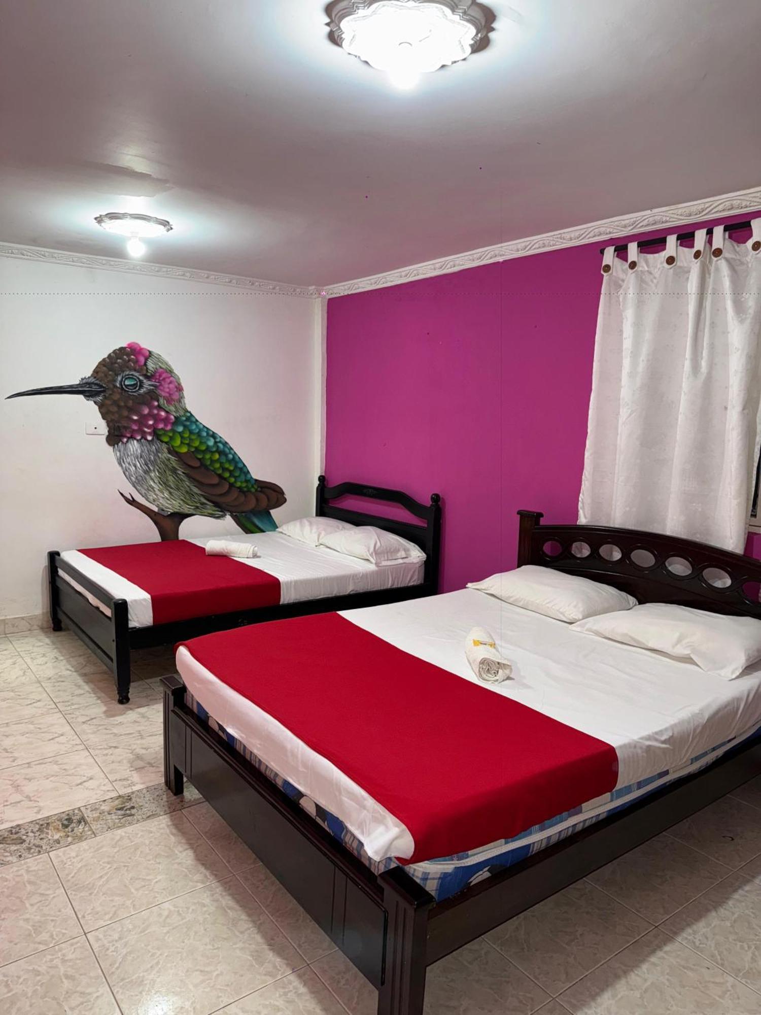 Ecohotel Colibri Salento 루나 파크 외부 사진