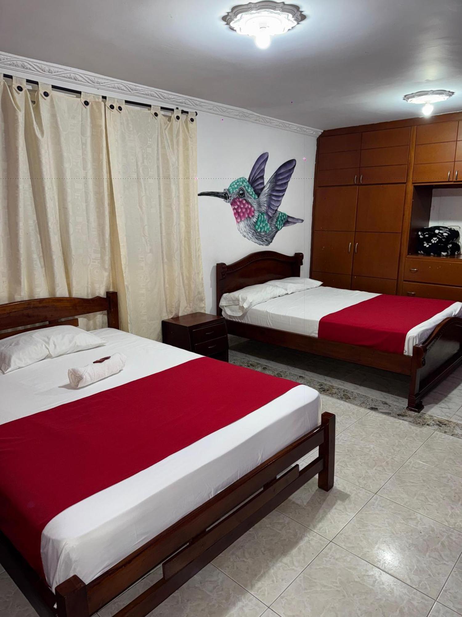 Ecohotel Colibri Salento 루나 파크 외부 사진