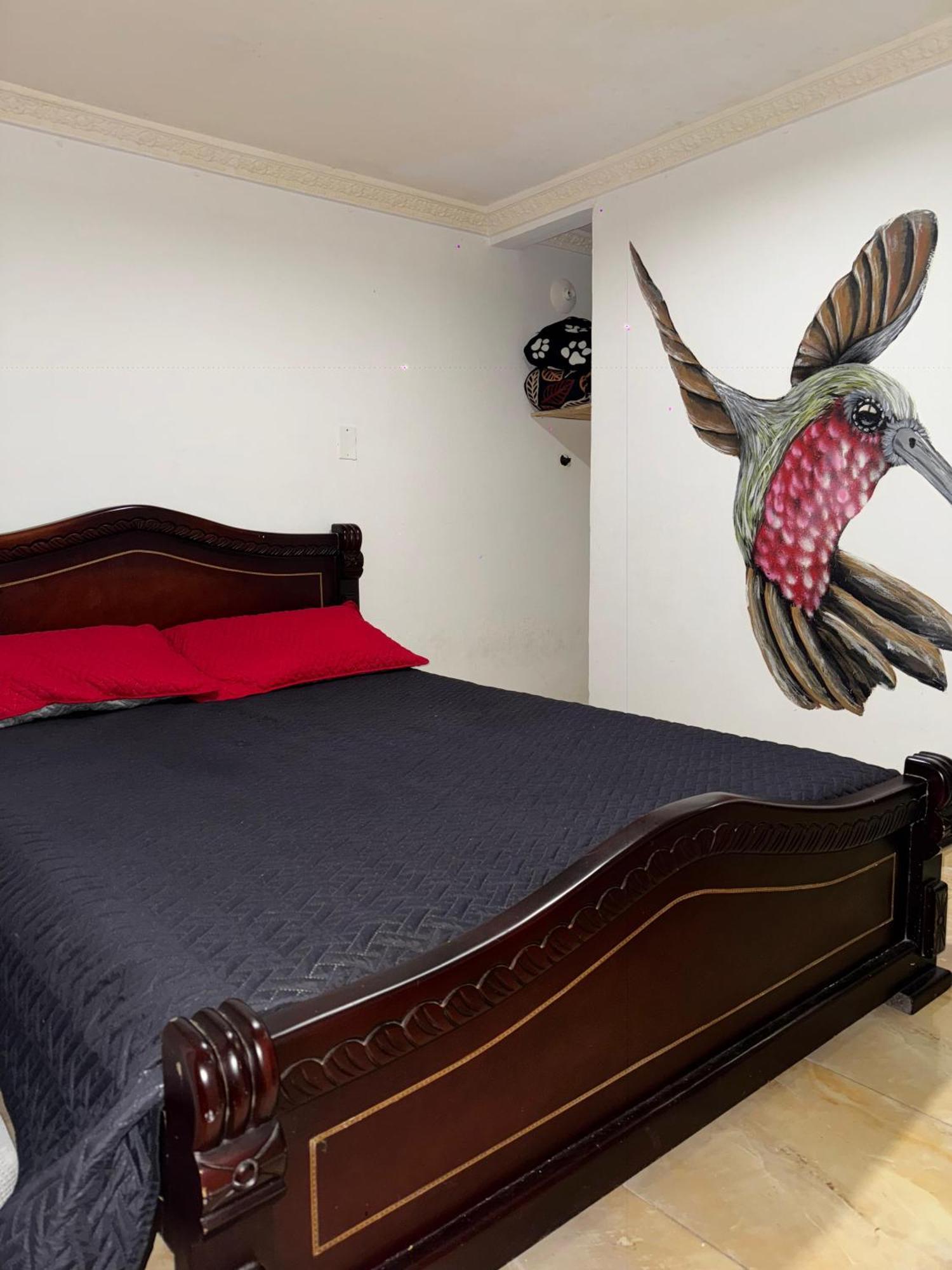Ecohotel Colibri Salento 루나 파크 외부 사진