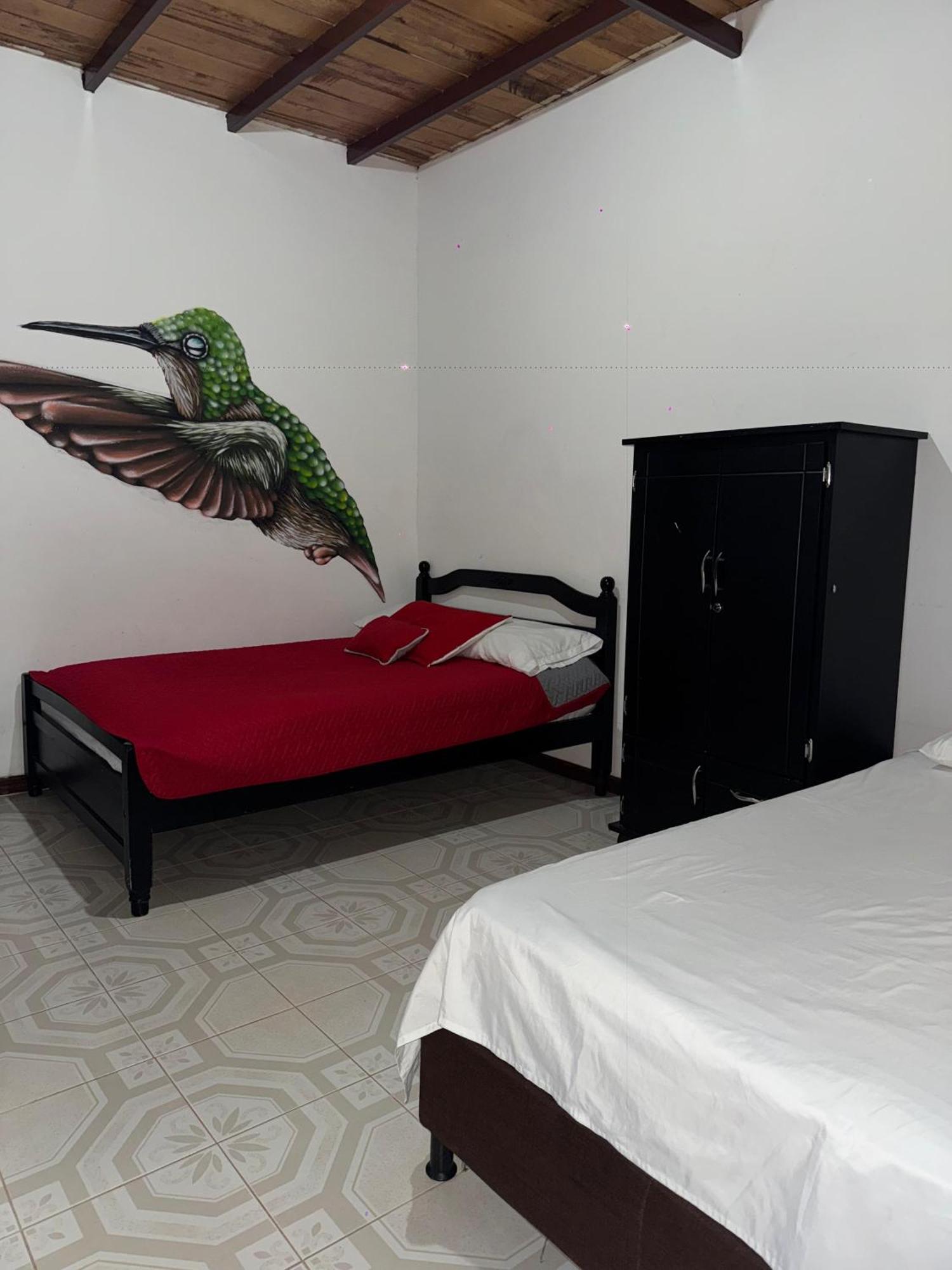 Ecohotel Colibri Salento 루나 파크 외부 사진