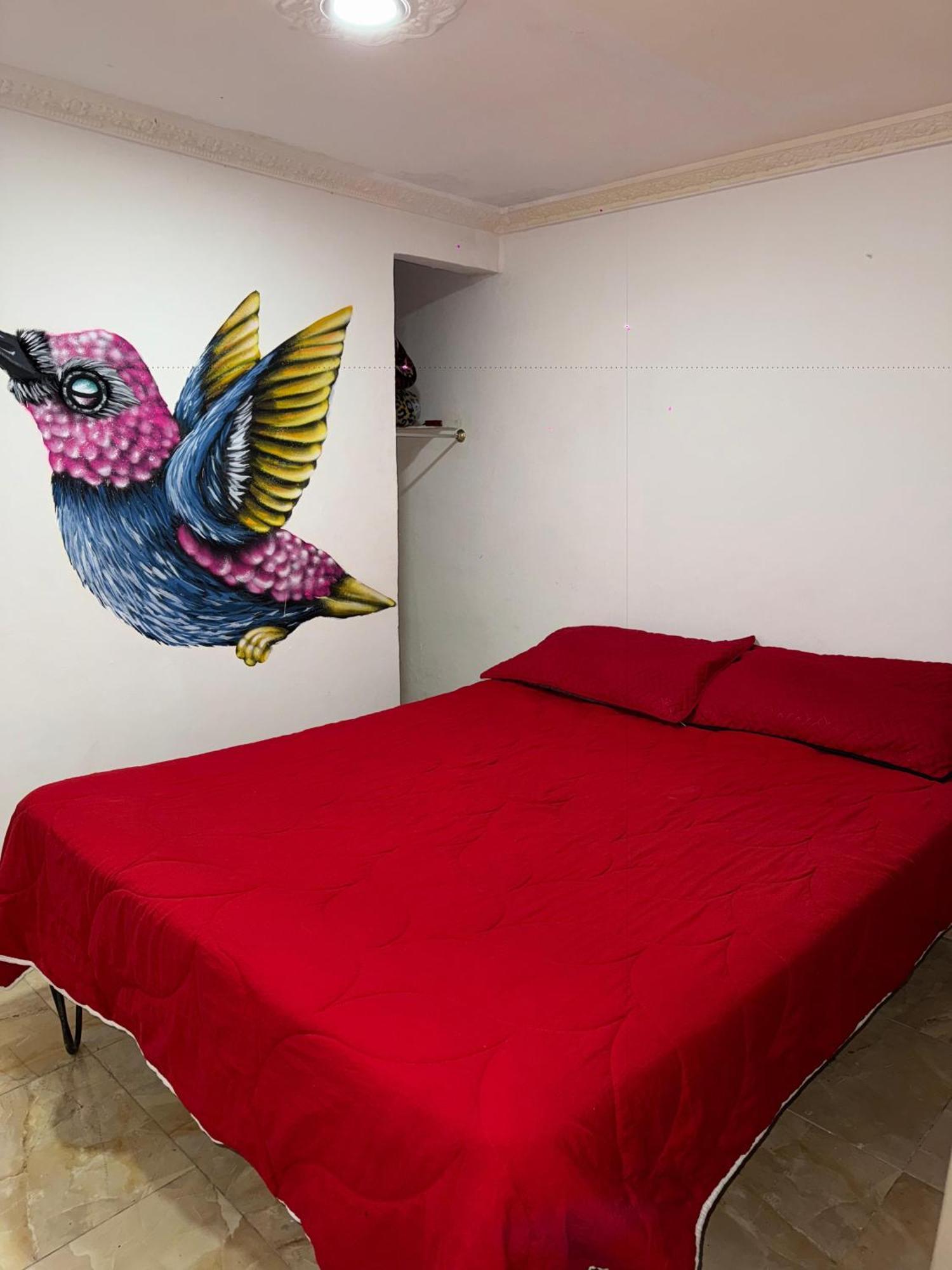 Ecohotel Colibri Salento 루나 파크 외부 사진