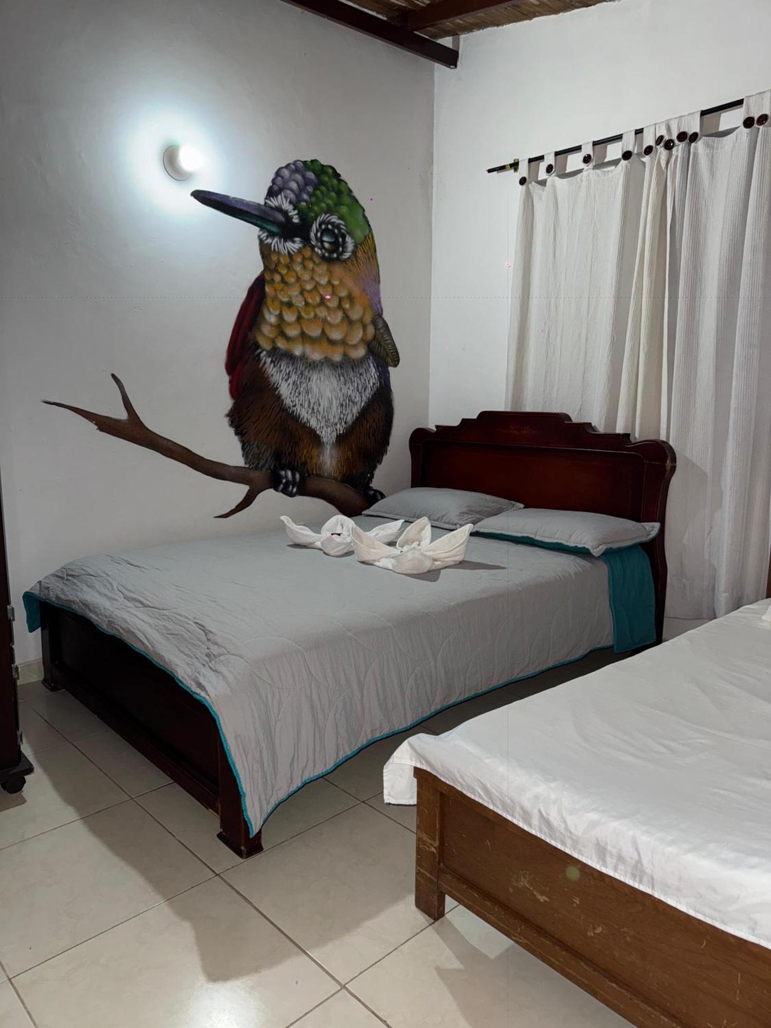 Ecohotel Colibri Salento 루나 파크 외부 사진